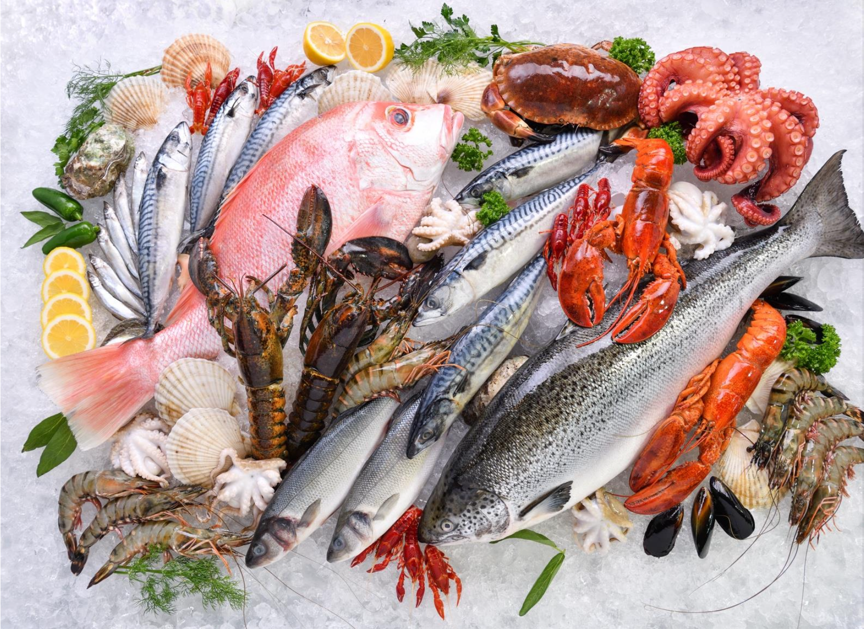 Sea Food